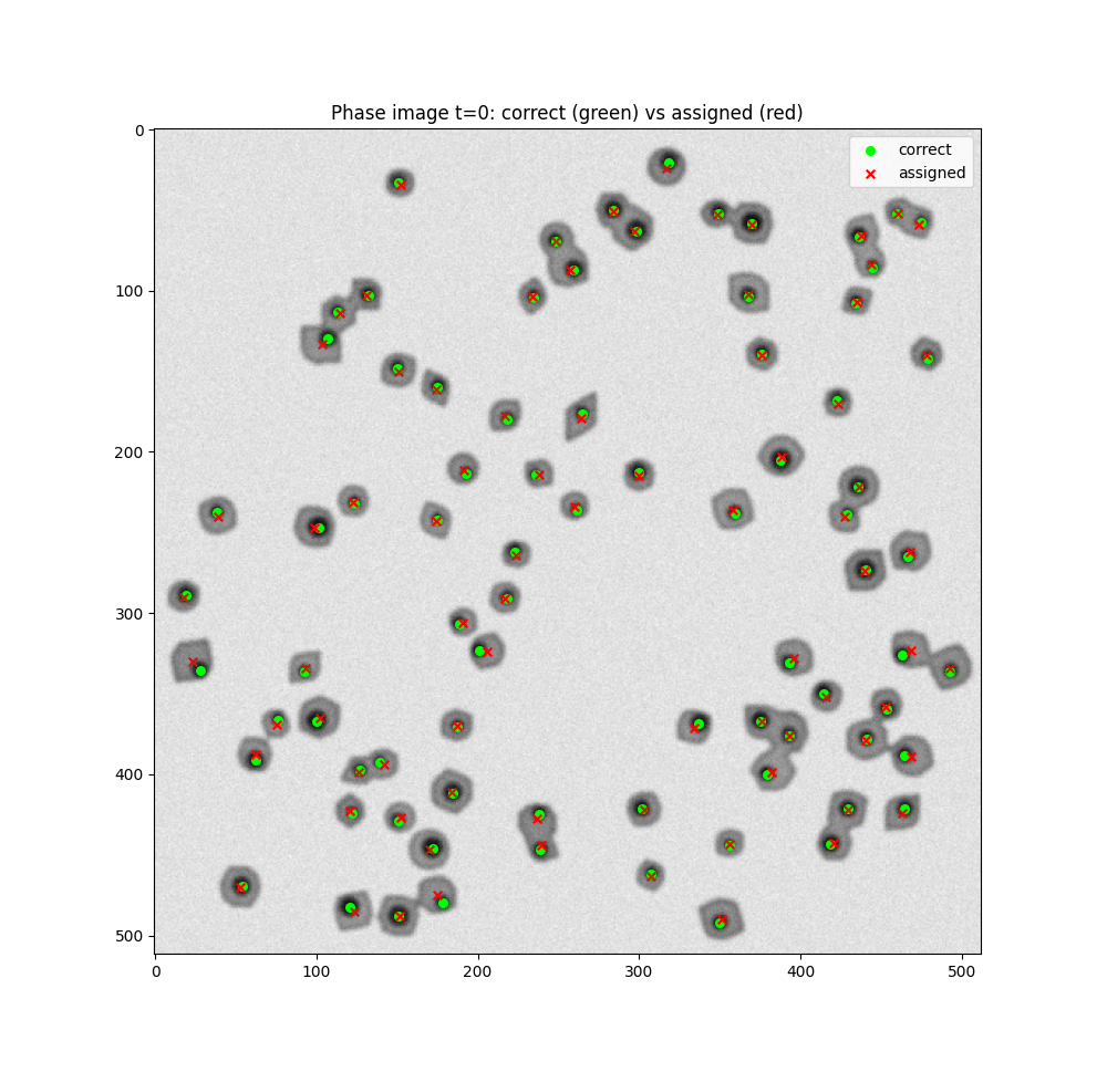 Cells with assigned and correct centres