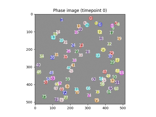 Segmented cell masks with cell_ids