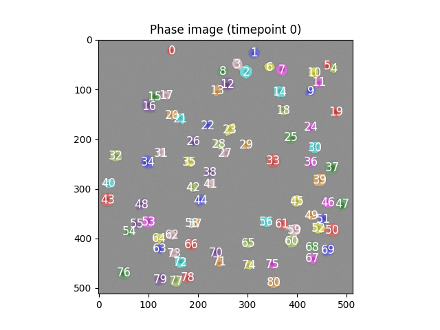 Segmented phase image
