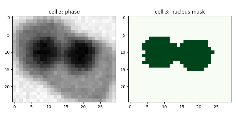 cell_id 3 showing nucleus mask and two cells