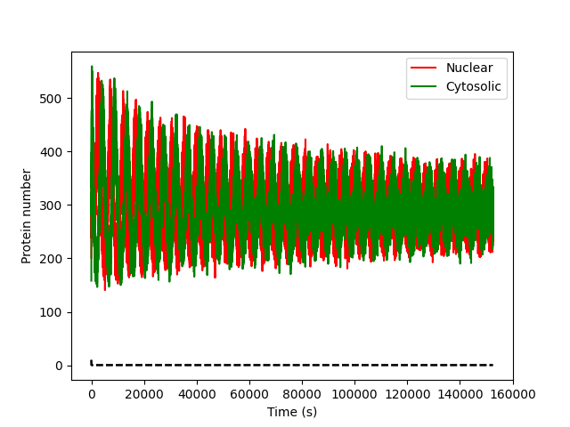 Nuclear/cytosolic protein traces, "data" and simulation