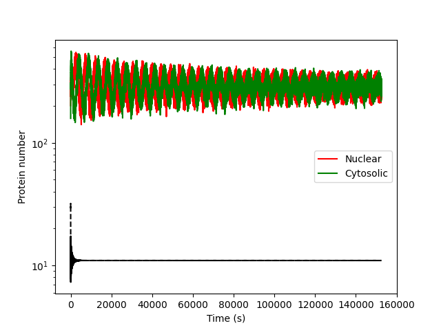 Nuclear/cytosolic protein traces, "data" and simulation