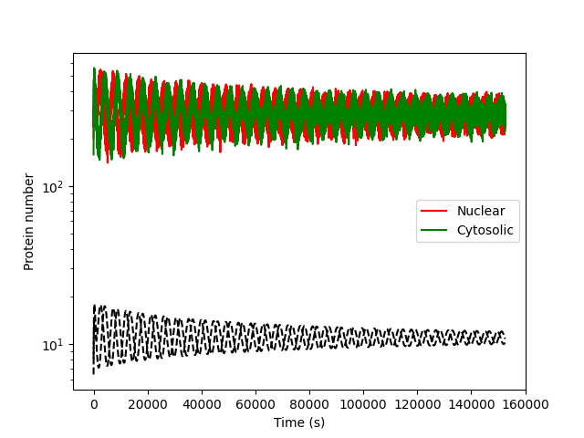 Nuclear/cytosolic protein traces, "data" and simulation