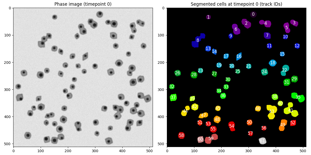 Segmented cell masks with cell_ids